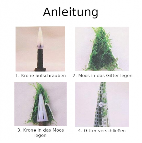 Moos-Baum (inkl. Moos)